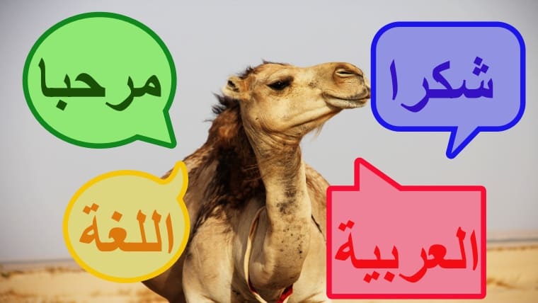 ラクダがアラビア語を話す